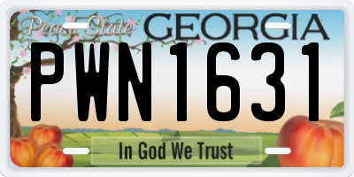 GA license plate PWN1631