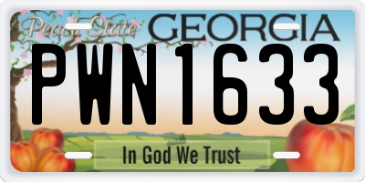 GA license plate PWN1633