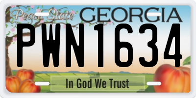 GA license plate PWN1634