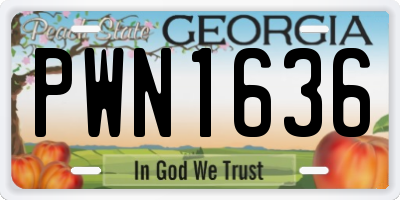 GA license plate PWN1636