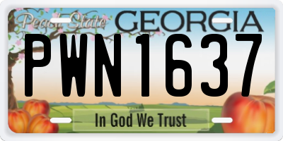 GA license plate PWN1637