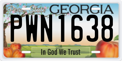 GA license plate PWN1638