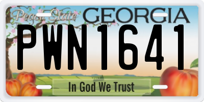 GA license plate PWN1641