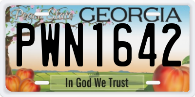GA license plate PWN1642
