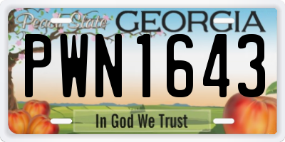 GA license plate PWN1643