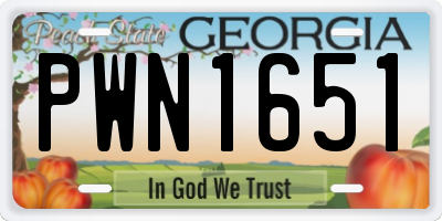 GA license plate PWN1651