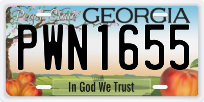 GA license plate PWN1655