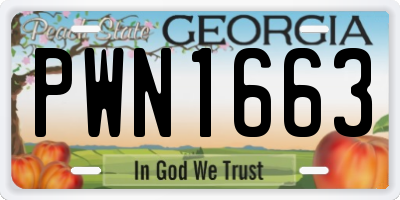 GA license plate PWN1663