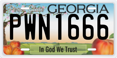 GA license plate PWN1666