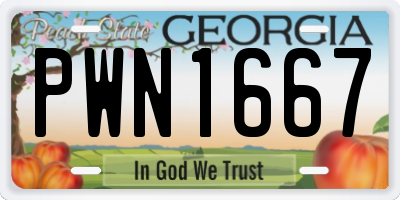 GA license plate PWN1667