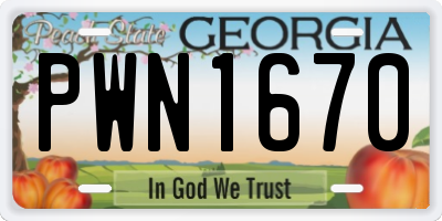 GA license plate PWN1670