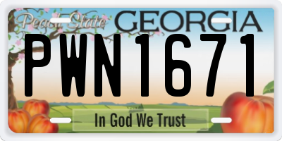 GA license plate PWN1671