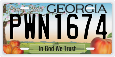 GA license plate PWN1674
