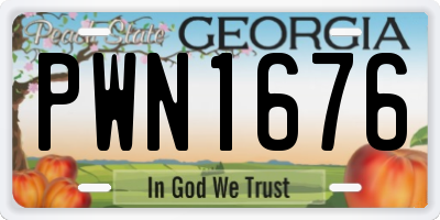 GA license plate PWN1676
