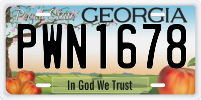 GA license plate PWN1678
