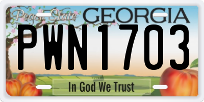 GA license plate PWN1703