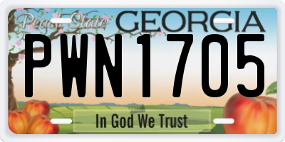 GA license plate PWN1705