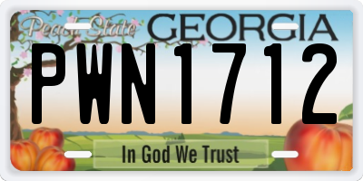 GA license plate PWN1712