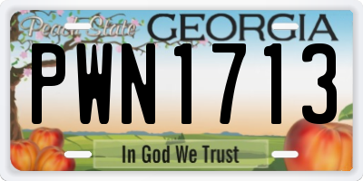 GA license plate PWN1713