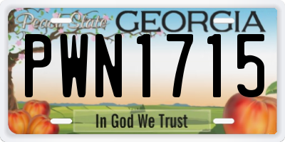 GA license plate PWN1715