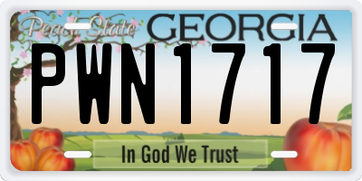 GA license plate PWN1717