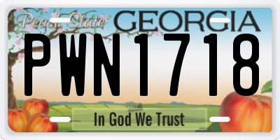 GA license plate PWN1718
