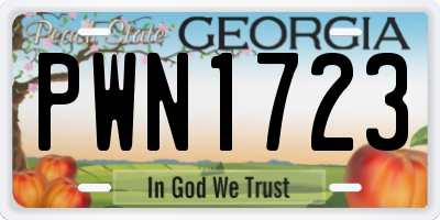 GA license plate PWN1723