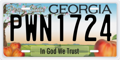 GA license plate PWN1724