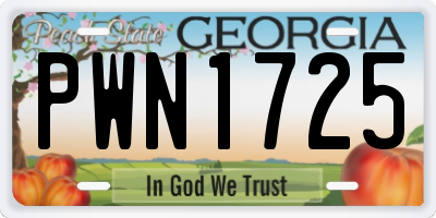 GA license plate PWN1725