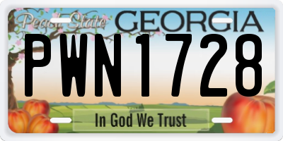 GA license plate PWN1728