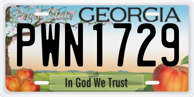 GA license plate PWN1729