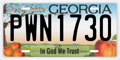 GA license plate PWN1730