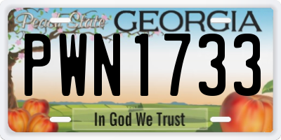 GA license plate PWN1733