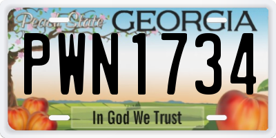 GA license plate PWN1734