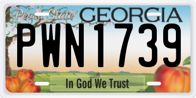 GA license plate PWN1739