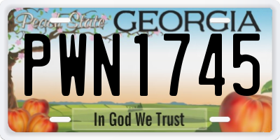 GA license plate PWN1745
