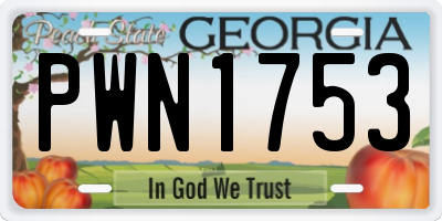 GA license plate PWN1753