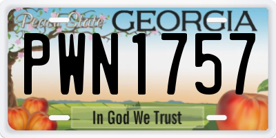 GA license plate PWN1757