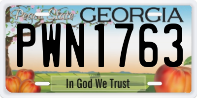 GA license plate PWN1763