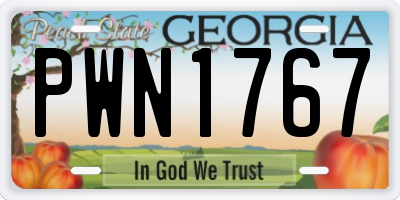 GA license plate PWN1767