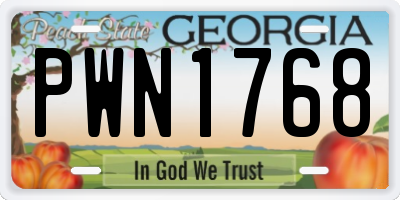 GA license plate PWN1768