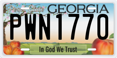 GA license plate PWN1770