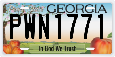 GA license plate PWN1771