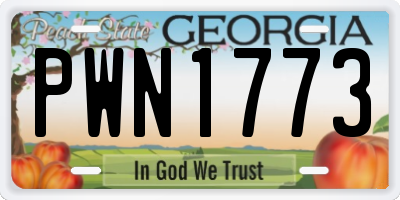 GA license plate PWN1773