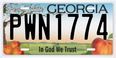 GA license plate PWN1774