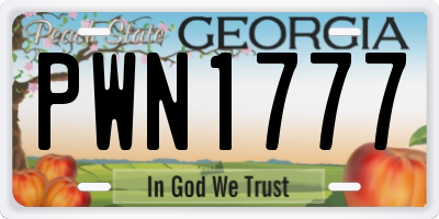 GA license plate PWN1777