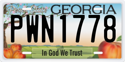 GA license plate PWN1778