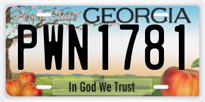 GA license plate PWN1781