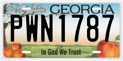 GA license plate PWN1787