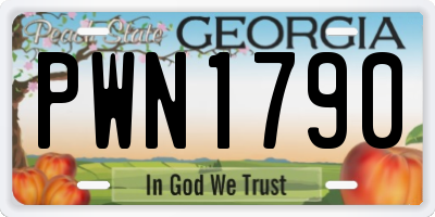 GA license plate PWN1790
